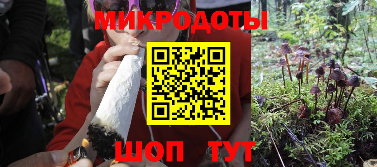 Галлюциногенные грибы Psilocybe Артёмовский